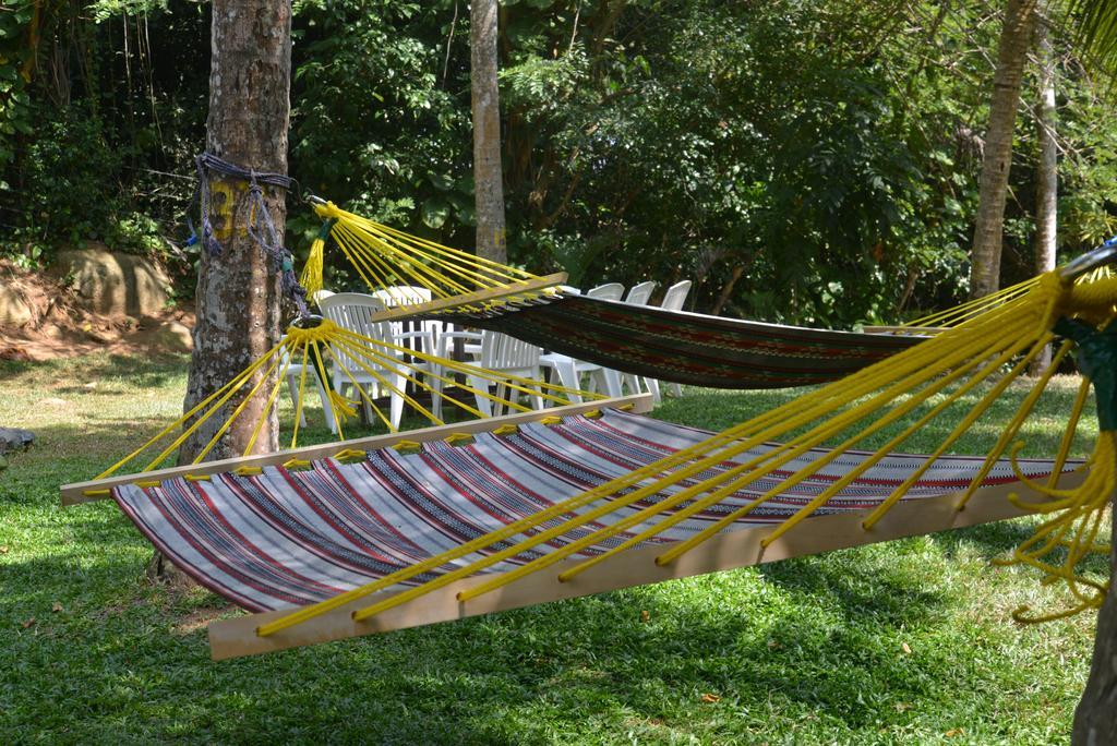 Jungle Beach Hostelウナワトゥナ エクステリア 写真